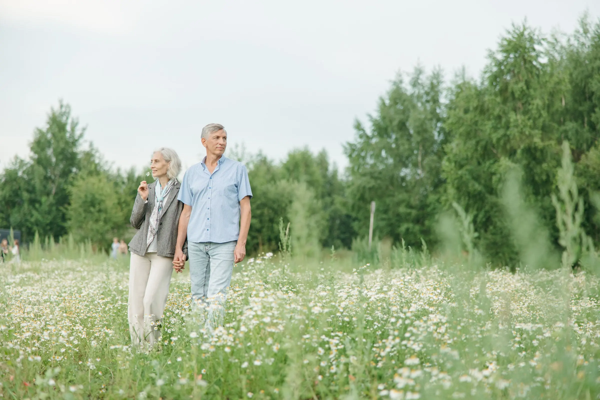 An older couple walking together through a field of white wild flowers on a sunny day